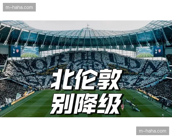 热刺若降级将引发球星离队潮，合同年限非绝对保障